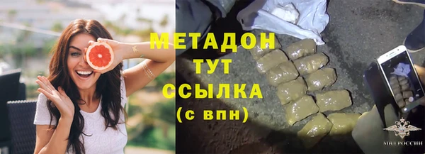 сатива Аркадак