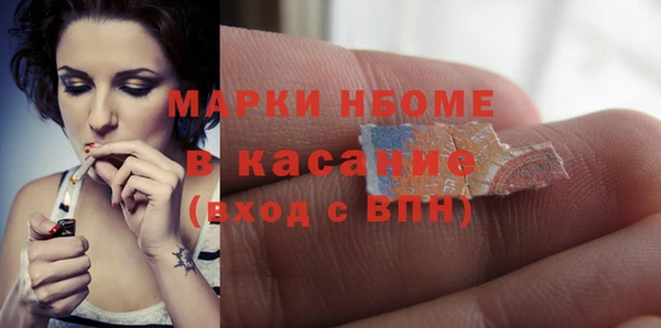 сатива Аркадак