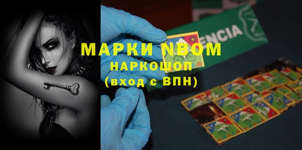 сатива Аркадак