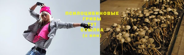 прущая мука Армянск