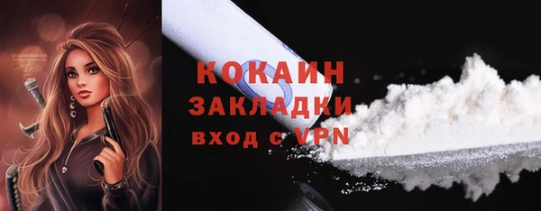 тгк Арсеньев