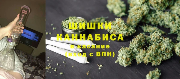 сатива Аркадак