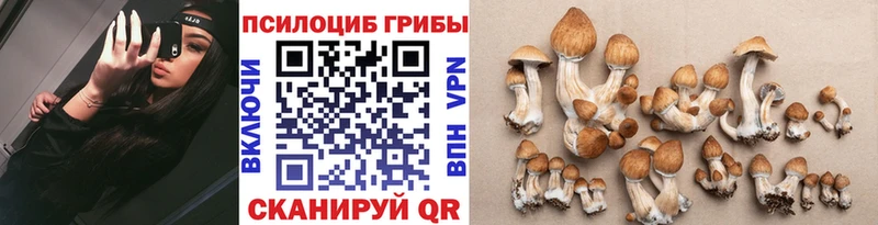 Купить  Белоусово  Галлюциногенные грибы Magic Shrooms 